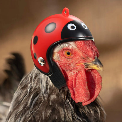 8PCS Rainproof Chicken Hats Fun and Cute Rainproof Chicken Hats Perfect Pet Protection Gear for Chickens and Parrots