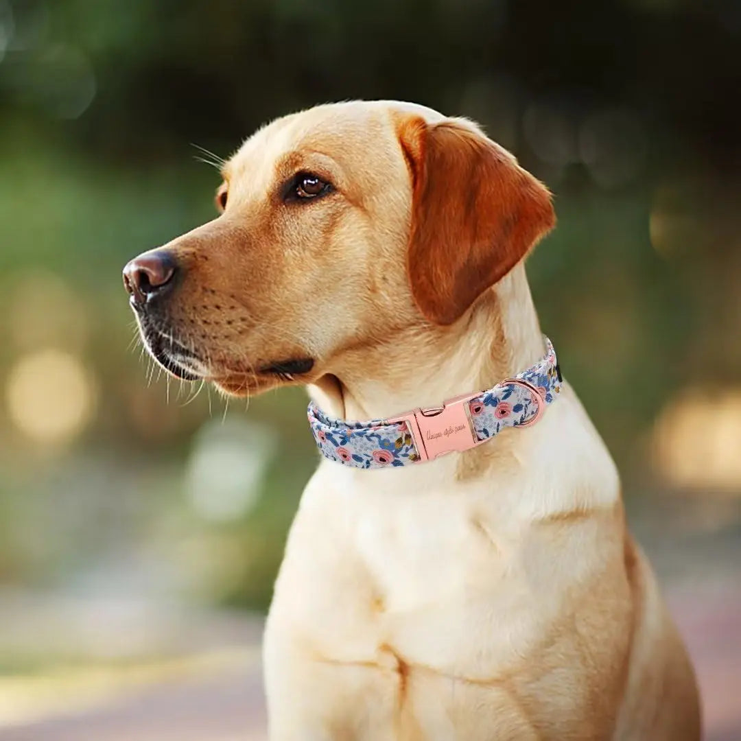 Unique Style Paws Dog Collar Metal Buckle Blue Stripe Collar Gift Durable Cute Collar for Small Medium Large Boys Girls Dogs